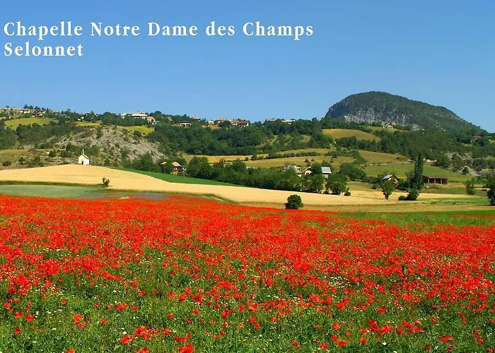 Отель Le Relais De La Forge 3*